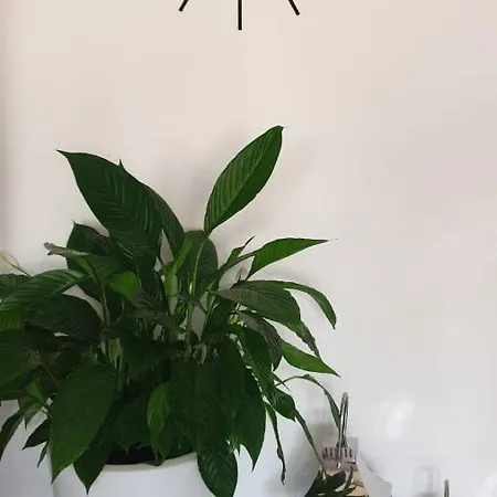 לינה וארוחת בוקר Zajazd Chata Keblowo