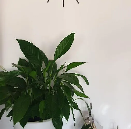 Alojamento de Acomodação e Pequeno-almoço Zajazd Chata Keblowo